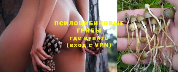 дурь Арсеньев